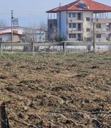 Tarım öğrencileri 200 zeytin fidanı dikti