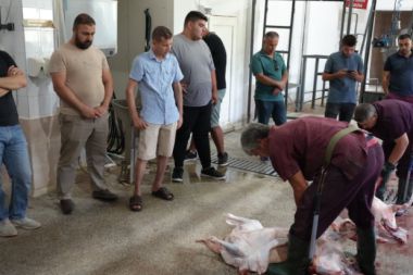 Bayram öncesi usta kurban kesimciliği eğitimi