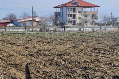 Tarım öğrencileri 200 zeytin fidanı dikti