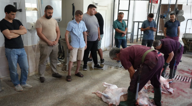 Bayram öncesi usta kurban kesimciliği eğitimi