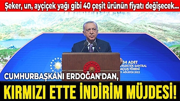 Cumhurbaşkanı Erdoğan'dan kırmızı ette indirim müjdesi!