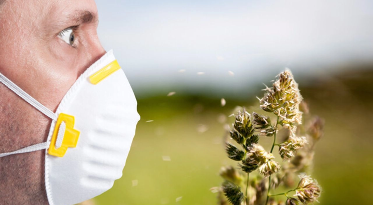 Bağışıklığı düşüren polen alerjisine dikkat