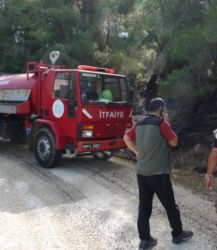 Manavgat'ta orman yangını ucuz atlatıldı