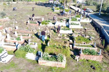 Manavgat mezarlığının ağaçları yeniden yeşerecek