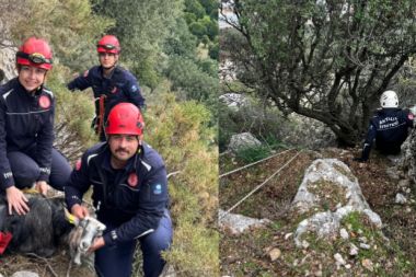 Antalya'da dağlık alanlarda mahsur kalan 2 keçi kurtarıldı