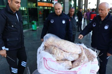 Şanlıurfa'dan Antalya'ya gönderilen sakatata el konuldu