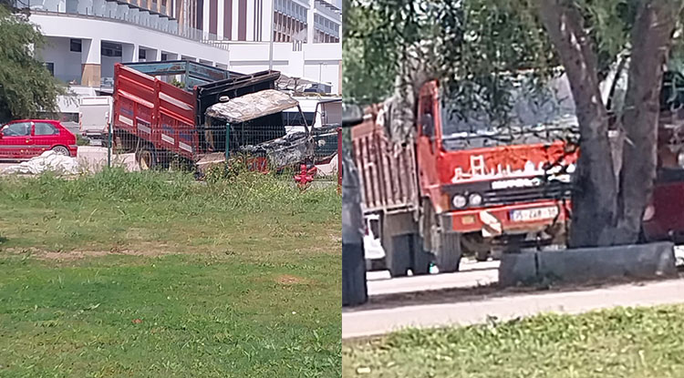 Kamyonette çıkan yangın çam ağacına sıçradı
