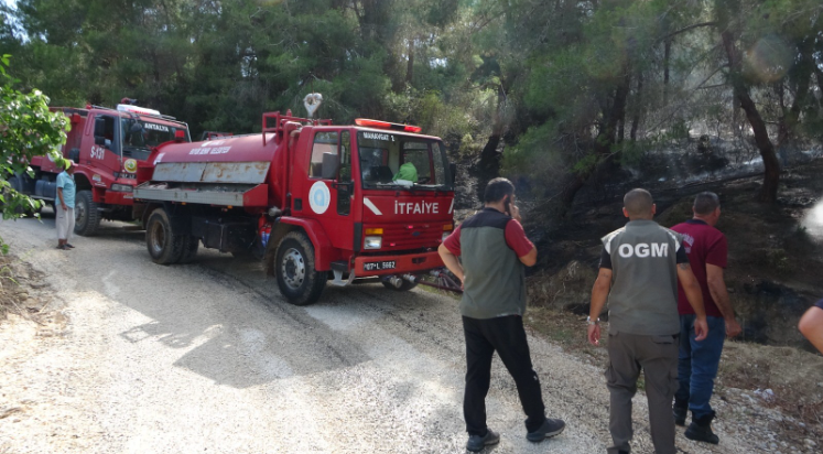 Manavgat'ta orman yangını ucuz atlatıldı