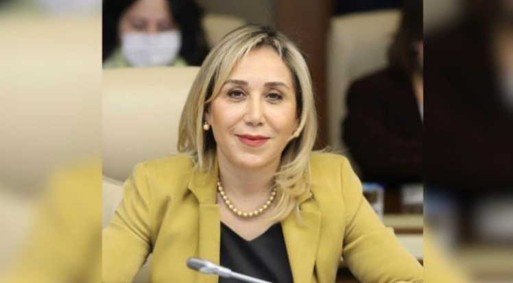 Milletvekili Çokal'dan bozkurt heykelinin kaldırılmasına tepki