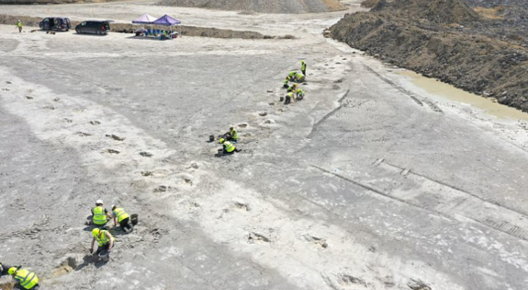 İngiltere'de dinozor izleri bulundu