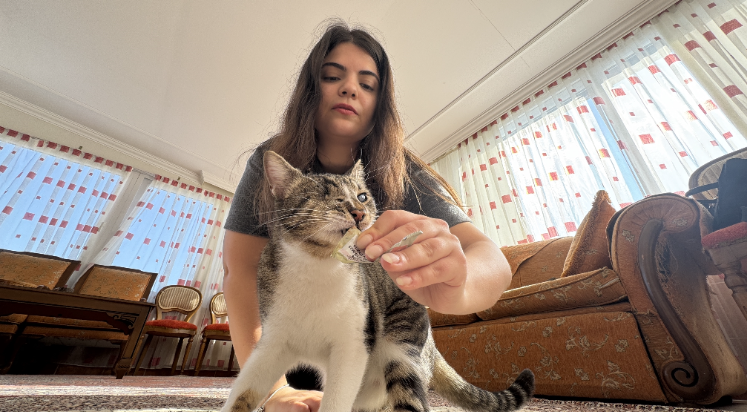 Genç psikolog görme engelli kediyi şefkatle hayata bağladı