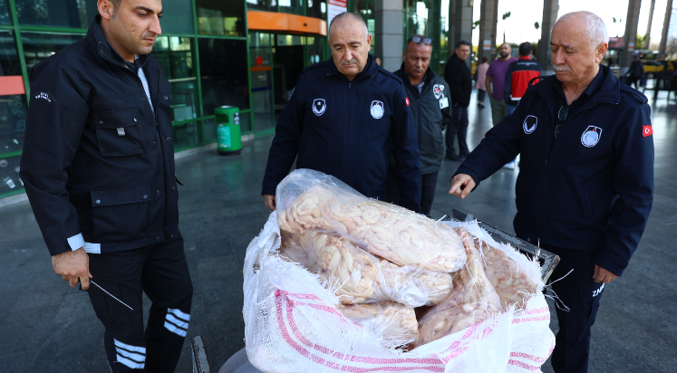Şanlıurfa'dan Antalya'ya gönderilen sakatata el konuldu