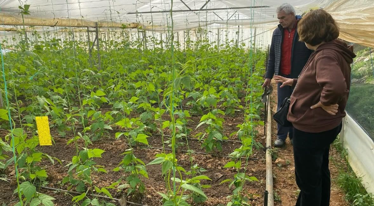 Gazipaşa’da üreticilere bitki sağlığı eğitimi verildi