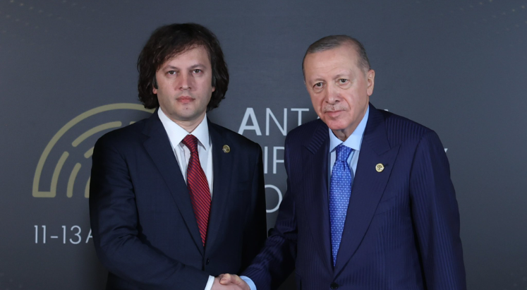 Cumhurbaşkanı Erdoğan, Gürcistan Başbakanı Irakli Kobakhidze ile görüştü
