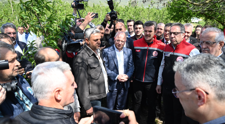 Bakan Yardımcısı Gümen zirai dondan etkilenen alanları inceledi