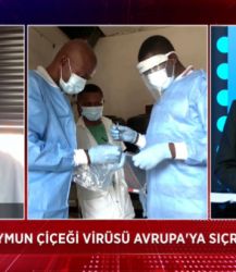 Prof. Dr. Tevfik Özlü: Paniğe kapılacak bir durum yok