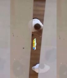 CHP'li Konyaaltı’nda tazminat krizi