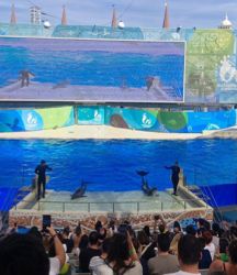 Antalya’da “Dünya Yetimler Günü” dolayısıyla etkinlik düzenlendi