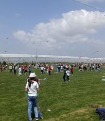 Şiddetli rüzgar uçurtmaları birbirine doladı