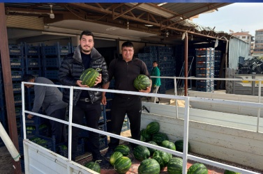 Antalya'da kışın ekilen karpuzlar tezgaha çıktı