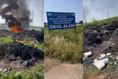 Aksu'da çevre katliamı