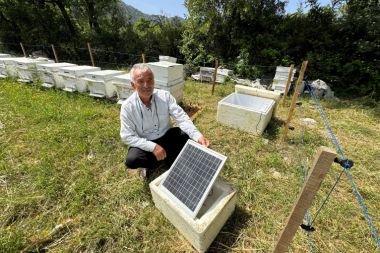 Arıcılardan ayılara karşı elektrikli tel önlemi
