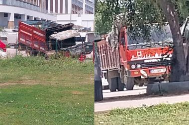 Kamyonette çıkan yangın çam ağacına sıçradı