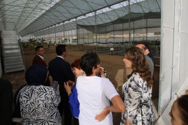 Kumluca MYO’da 17 tropik meyve türü araştırılıyor