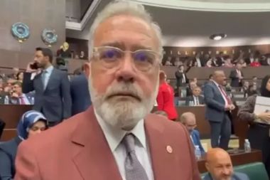 Yenişehirlioğlu’ndan sahipsiz hayvanlarla ilgili açıklama