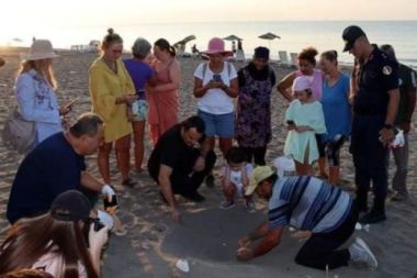 Finike sahilindeki caretta caretta yuvaları kafesle çevrildi