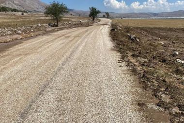 Korkuteli'ndeki şiddetli yağış hayvanları telef etti