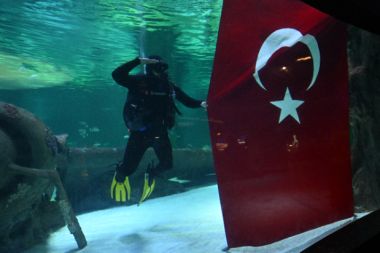 Köpek balıklarıyla dolu akvaryumda bayrak açarak 30 Ağustos'u kutladılar