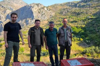 Akseki’de 920 keklik salımı gerçekleştirildi
