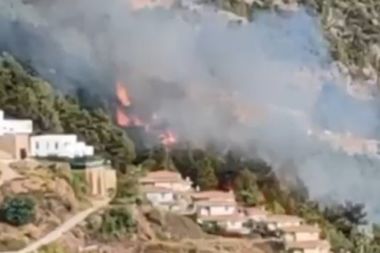 Alanya'da orman yangını