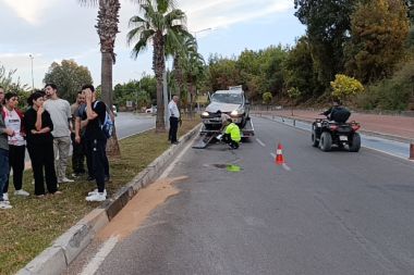 Kontrolden çıkan otomobil palmiyeye çarptı
