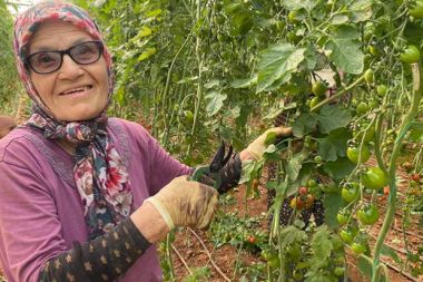 Aksulu Sevim Palas'ın yaşam azmi hayran bıraktı