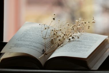 Kültür harcamaları yüzde 84,7 arttı