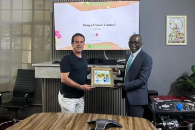 Antalya Ticaret Borsası Kenya'da çiçek turunda