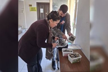 Balon balığıyla mücadele kapsamında balıkçılara bilgilendirme yapıldı