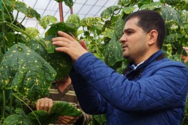Gazipaşa’da çiftçilere biyolojik mücadele desteği