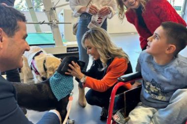 Çokal, sahipsiz köpeklerin terapi köpeği olmasına dair açıklama yaptı