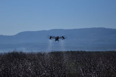Çiçek açan kayısı ağaçları zirai dronla ilaçlandı