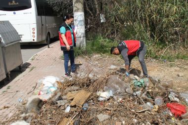 Antalya'da kedi ölümleriyle ilgili inceleme başlatıldı