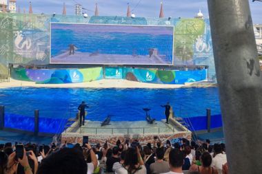 Antalya’da “Dünya Yetimler Günü” dolayısıyla etkinlik düzenlendi