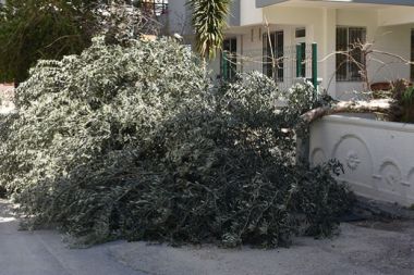 Antalya’da etkili olan kuvvetli rüzgar yaşamı olumsuz etkiledi