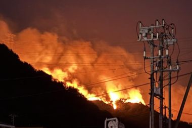 Japonya’da orman yangını alarmı