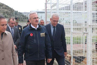 Bakan Yardımcısı Karaloğlu’dan sahipsiz sokak hayvanlarıyla ilgili açıklama
