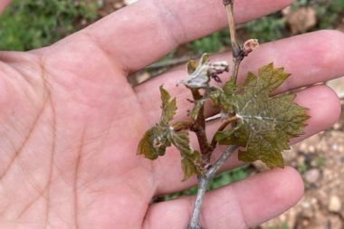 Don tarım arazilerine büyük zarar verdi