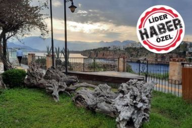 Antalyalılar keçileri kaçırdı