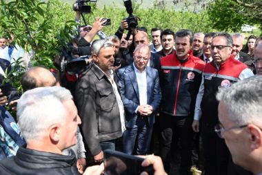 Bakan Yardımcısı Gümen zirai dondan etkilenen alanları inceledi